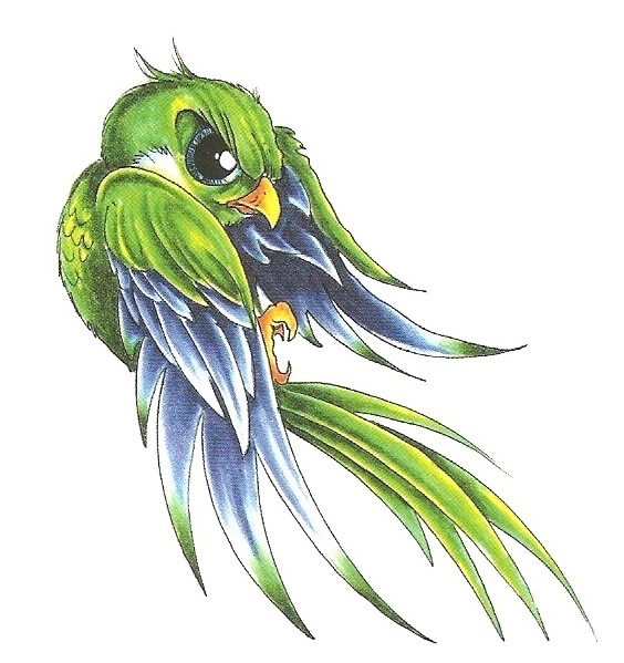 Card image cap